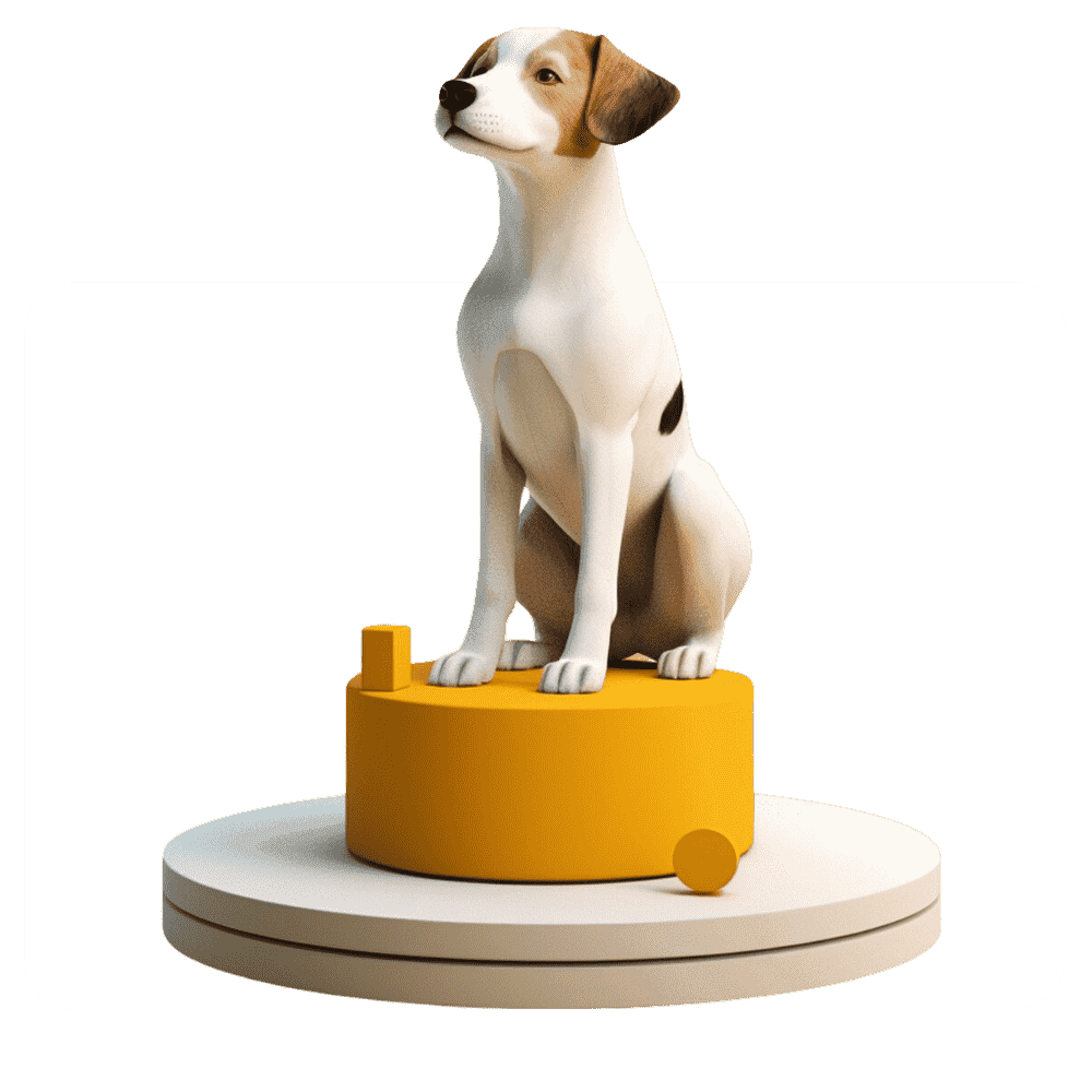 Pet care and community